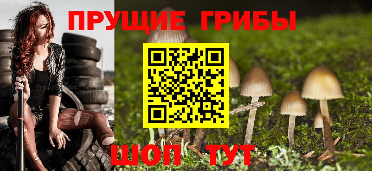Галлюциногенные грибы Cubensis Ишимбай