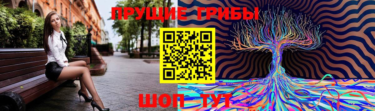 Ишимбай  Галлюциногенные грибы GOLDEN TEACHER  Вход с VPN 